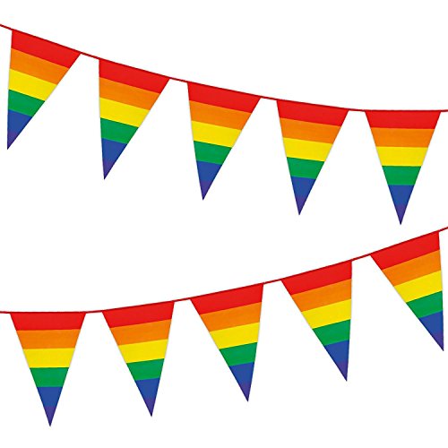 M1006 Gay Pride Bunting 10m with 20 Pennants