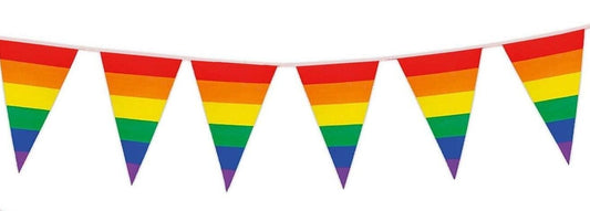 M1006 Gay Pride Bunting 10m with 20 Pennants