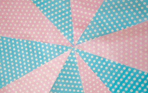 C1009 Pink & Blue Polta Dot Bunting 10m with 20 Pennants